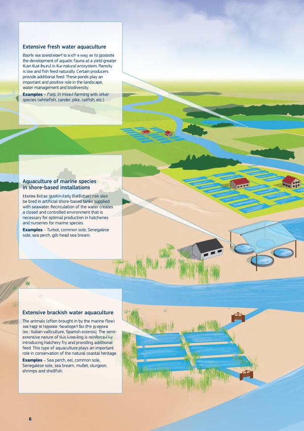 aquacultura1